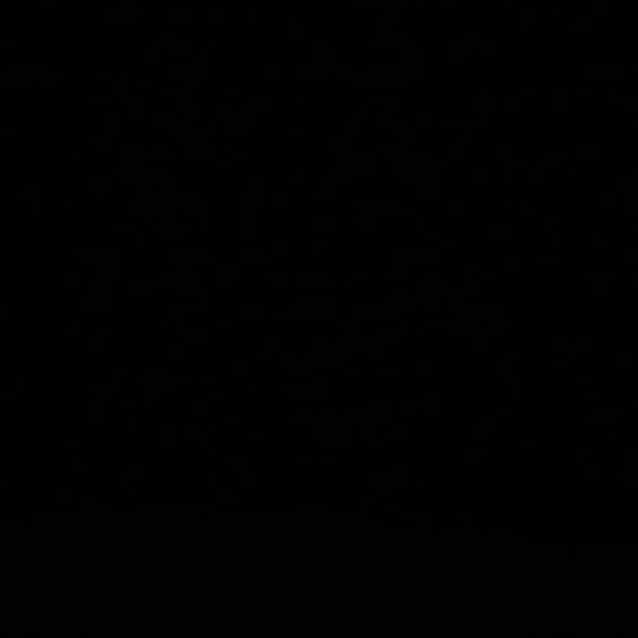 Meet your Posher, Nathaniel - Picture 1 of 1